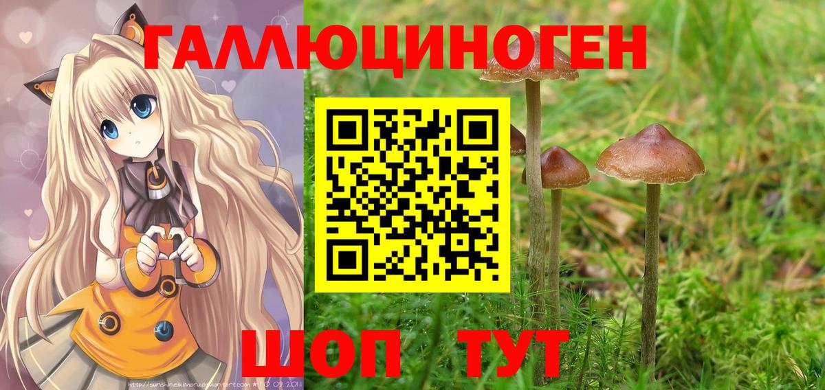 Псилоцибиновые грибы Magic Shrooms  Вход с VPN  Ангарск 