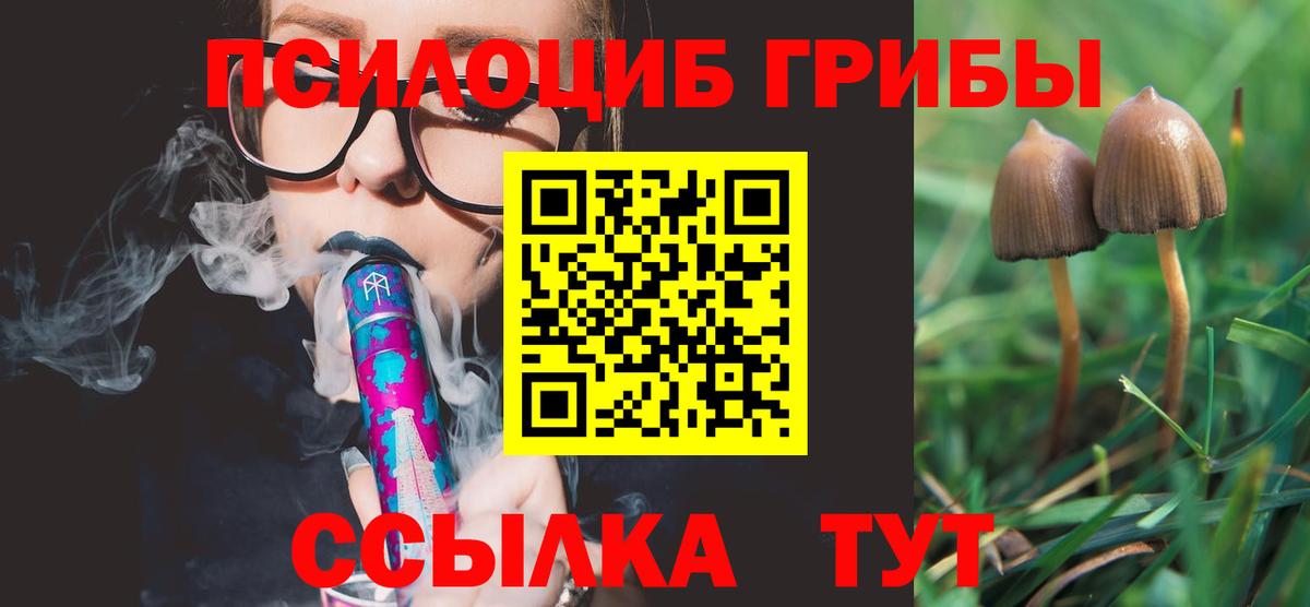 Галлюциногенные грибы Psilocybe Ангарск